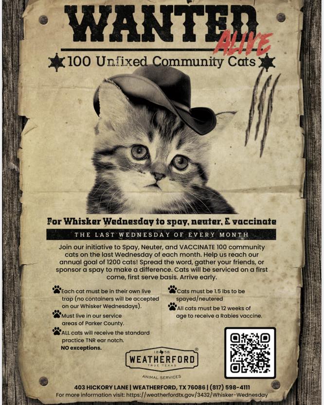 whisker wednesday with facts